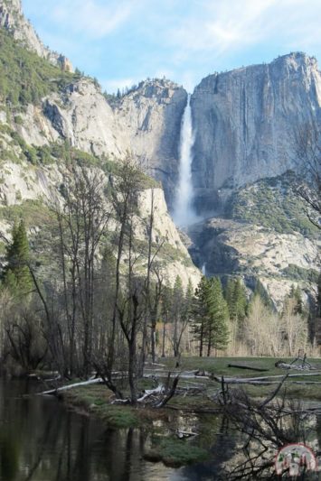 Die Yosemite Falls im National Park in Kalifornien
