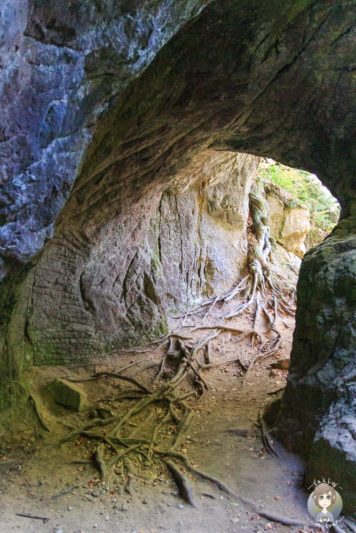 Hohllay am Mullerthal Trail bei Berdorf
