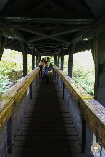 Auf der Brücke der Irreler Wasserfälle auf einem Kurztrip mit dem Wohnmobil in der Eifel