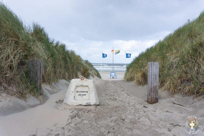 Besuch vom Kruisbergstrand im Urlaub in Nordholland