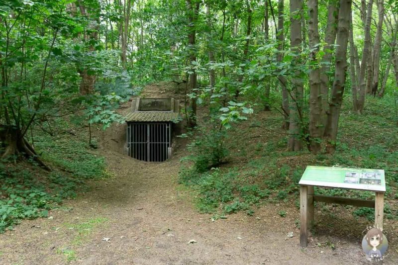 Kunstbunker in Castricum im Urlaub in Nordholland