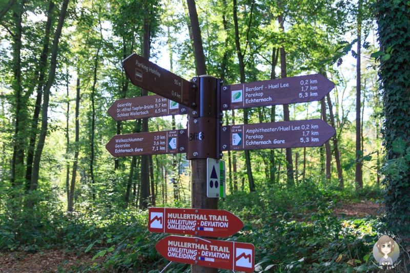 Beschilderung auf dem Mullerthal Trail in Luxemburg