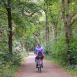 Radtour durch das Nordholländische Dünenreservat beim Urlaub in Nordholland
