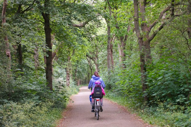 Radtour durch das Nordholländische Dünenreservat beim Urlaub in Nordholland