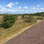 Der Weg durch das Nordholländische Dünenreservat