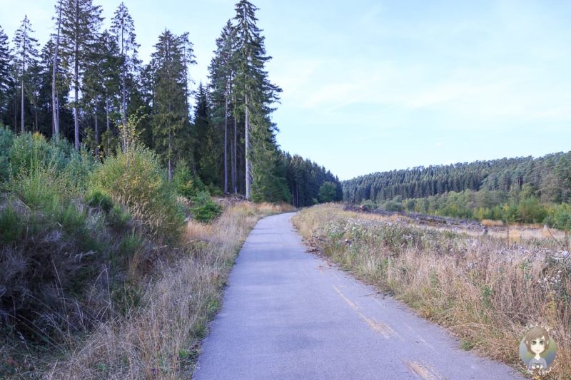 Rückweg auf dem Moorpfad in Dahlem Eifel