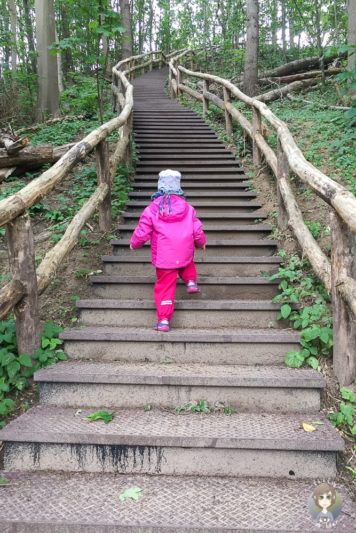 Treppe zum Papenberg in Castricum in Nordholland