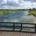 Glasklares Wasser im Nordholländischen Dünenreservat
