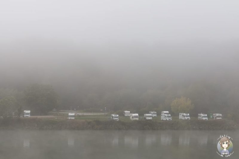 Morgendlicher Nebel an der Mosel