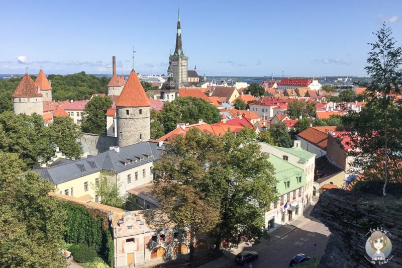 Aussicht vom Domberg in Tallinn im Baltikum mit Kind