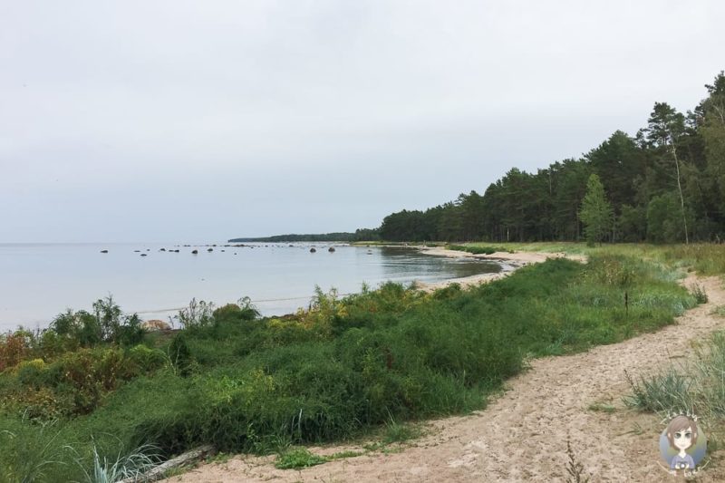 Baltikum mit Kind am Strand in Altja