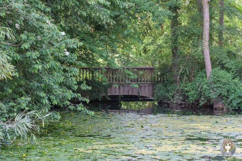 Brücke im Schlosspark Paffendorf