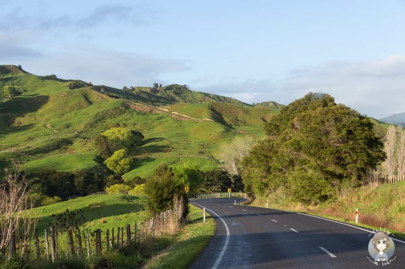 Auf den Straßen in Neuseeland mit dem Mietwagen