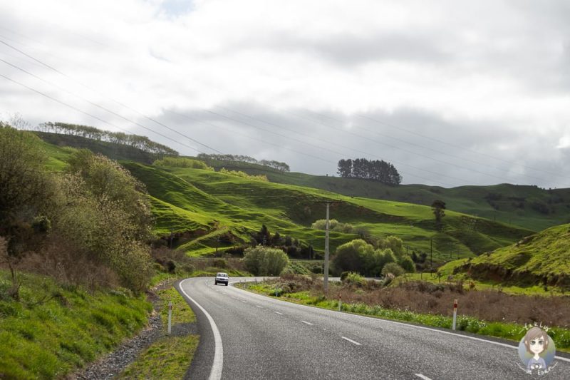 Mit dem Mietwagen durch Neuseeland