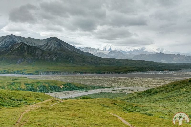 Aussicht auf Mpunt Denali im Denali Nationalpark