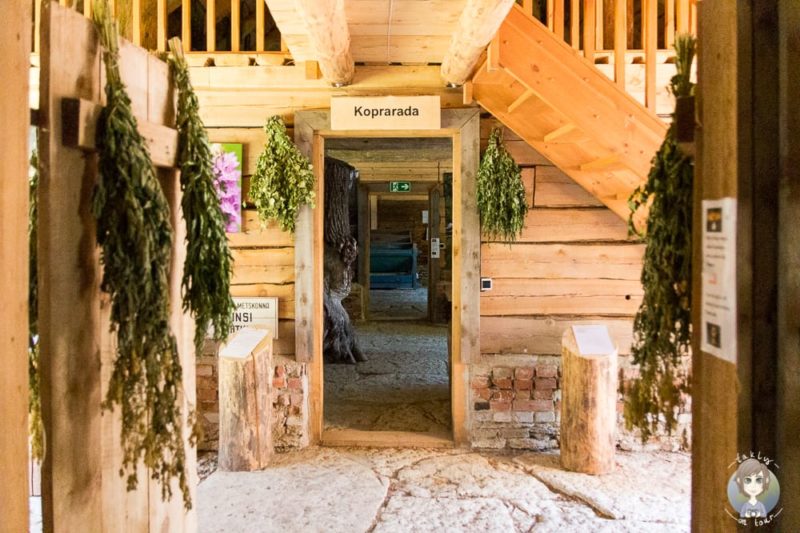 Ausstellung im Naturecenter von Oandu im Baltikum mit Kind