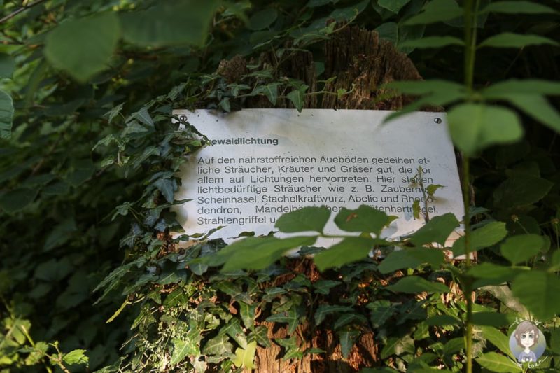 Schilder an den Pflanzen im Park Paffendorf