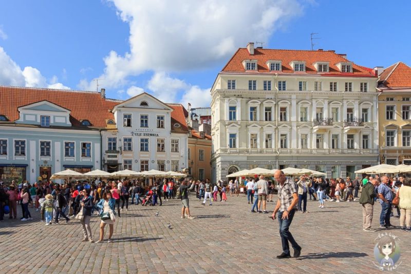 Im Baltikum mit Kind auf dem Rathausplatz in Tallinn