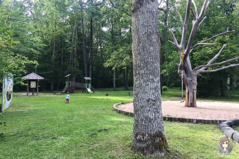 Spielplatz am Besucherzentrum vom Kemeri Nationalpark in Lettland mit Kind