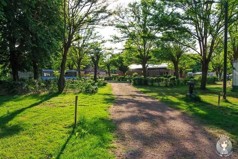 Schattige Stellplätze vom Camping de l'Aix