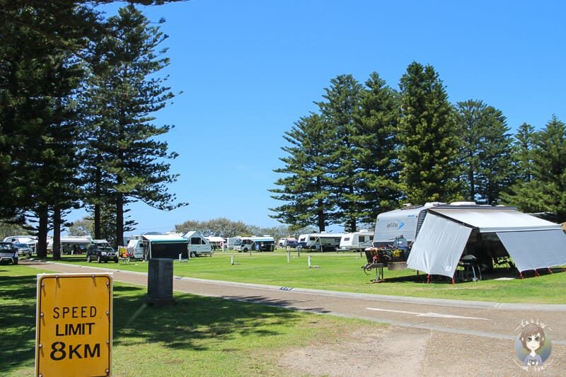 Camping auf dem Sydney Lakeside Holiday Park (Big4)
