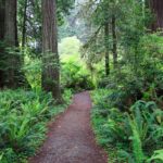 Schöne Wanderung am Elk Prairie Campground