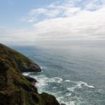 Blick über die Bucht vom Heceta Head Vista Point