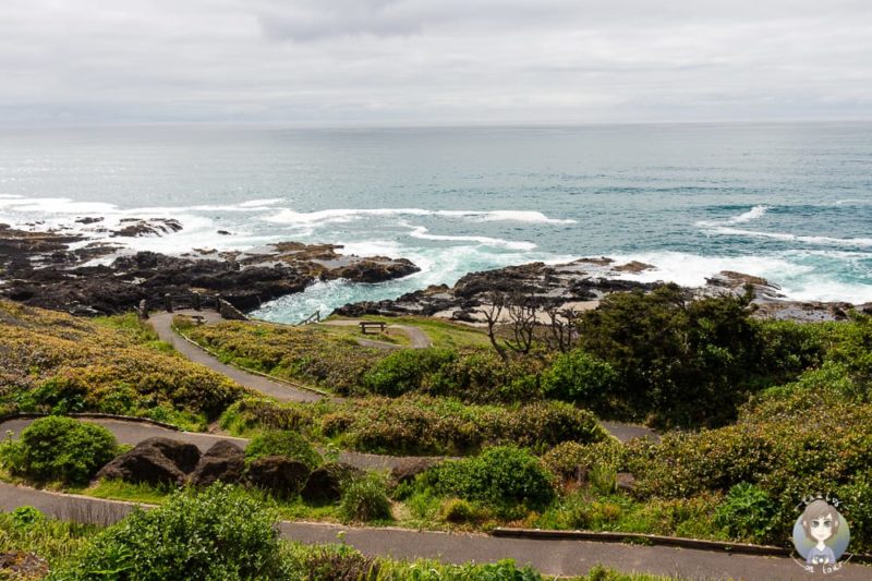 Viewpoint am Cape Perpetua in Oregon