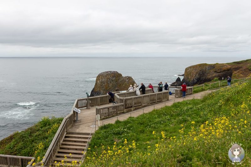Cobble Beach Viewpoint