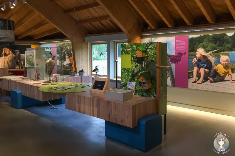 Ausstellung im Besucherzentrum Dwingelderveld in Drenthe
