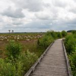 Familiepad Noordenveld in Drenthe