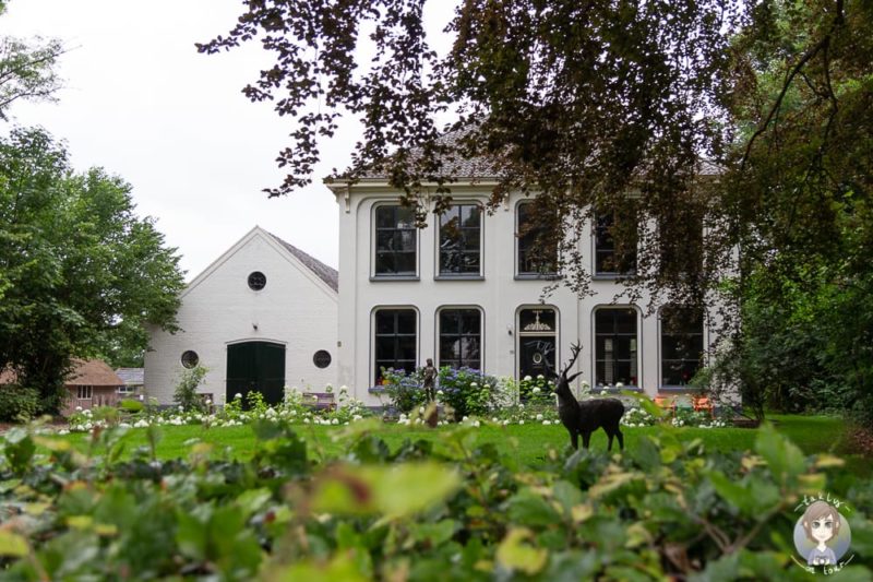 Ein Haus in Dwingeloo Drenthe