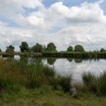 Smitsveen im Dwingelderveld Nationalpark in Drenthe