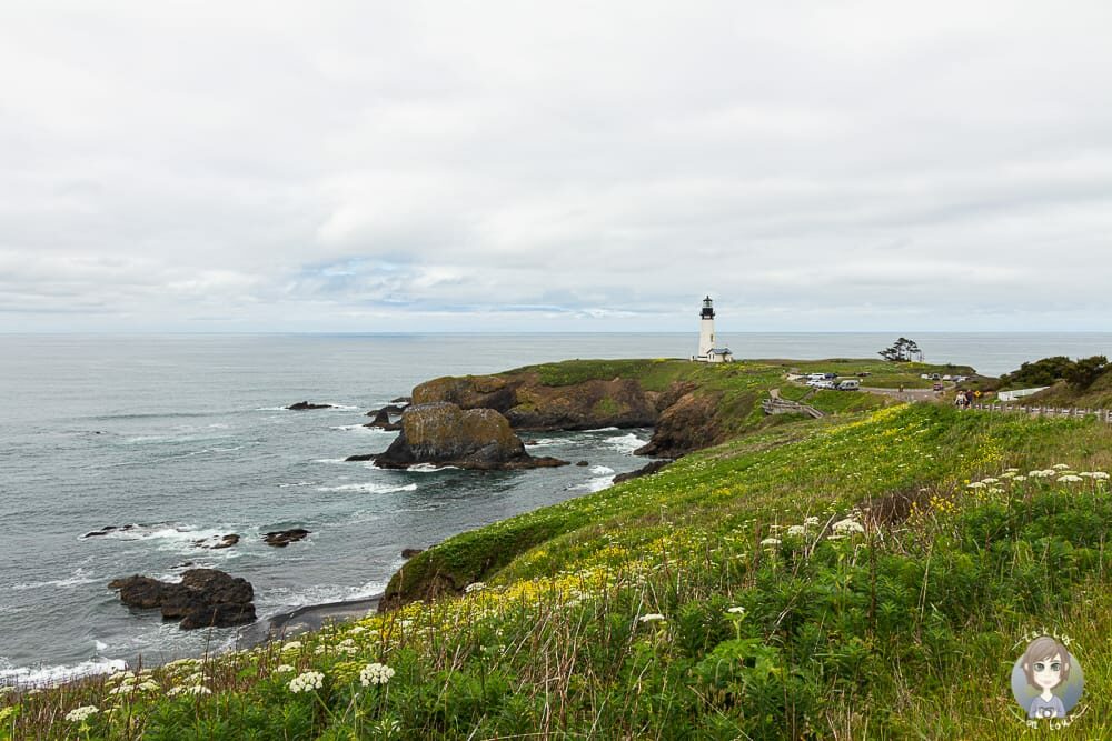 Yaquina Head Area in Oregon