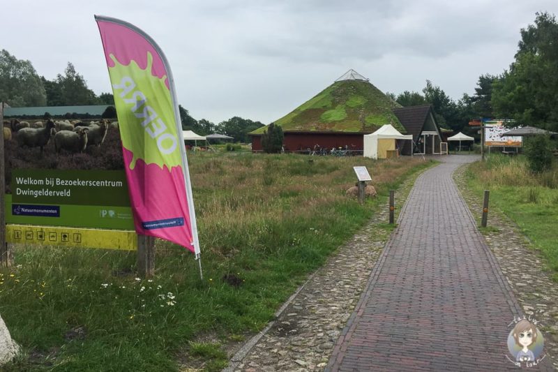 Am Besucherzentrum Dwingelderveld in Drenthe beim Urlaub in Holland