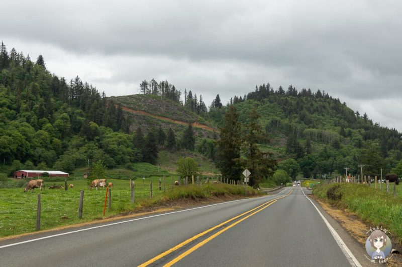 Landwirtschaft am Oregon Hwy