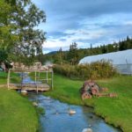 Kunst an den Chena Hot Springs in Alaska