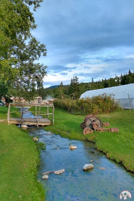 Kunst an den Chena Hot Springs in Alaska