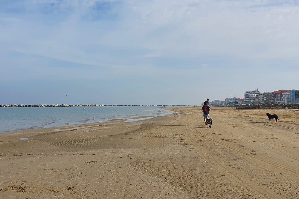 Strandurlaub mit Hund im Wohnmobil