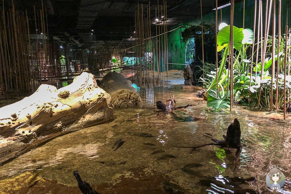 Im Regenwald im Klimahaus Bremerhaven mit Sehenswürdigkeiten