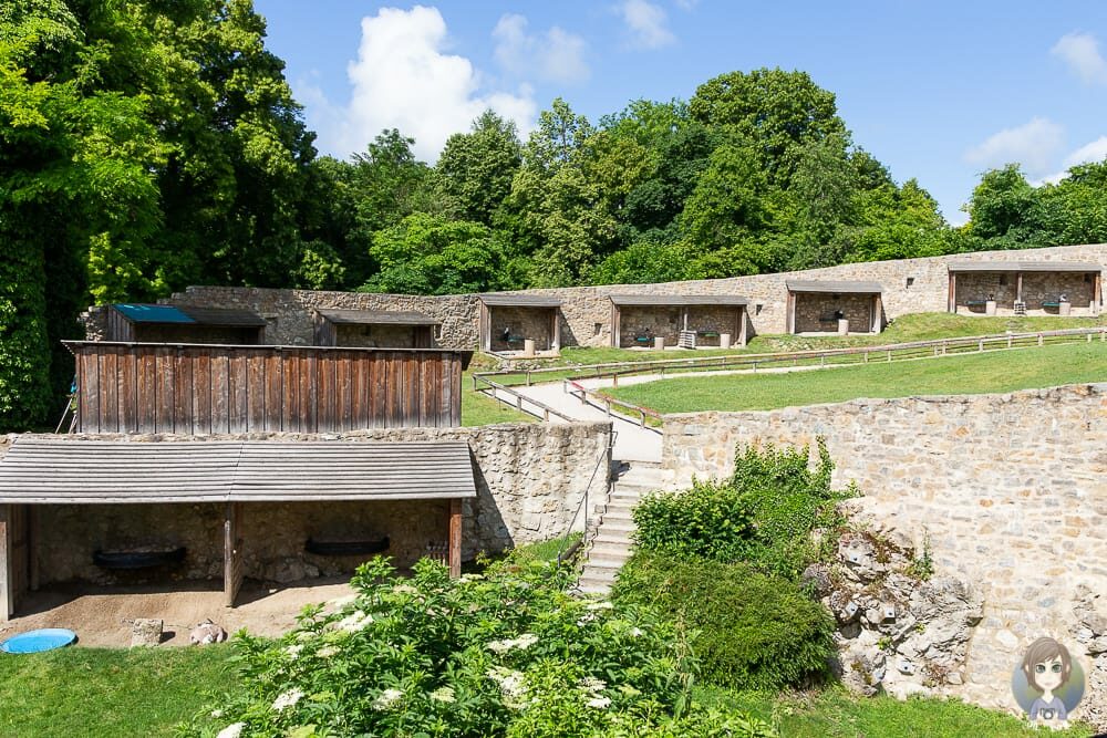 Die Greifvogelausstellung im Falkenhof Schloss Rosenburg in Riedenburg