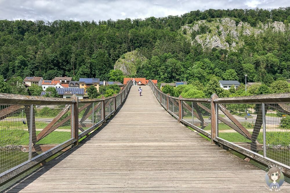 Tatzlwurm Holzbrücke über Ludwig-Donau-Main-Kanal