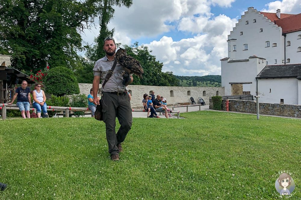 Rundgang mit einem Uhu auf dem Falkenhof in Riedenburg