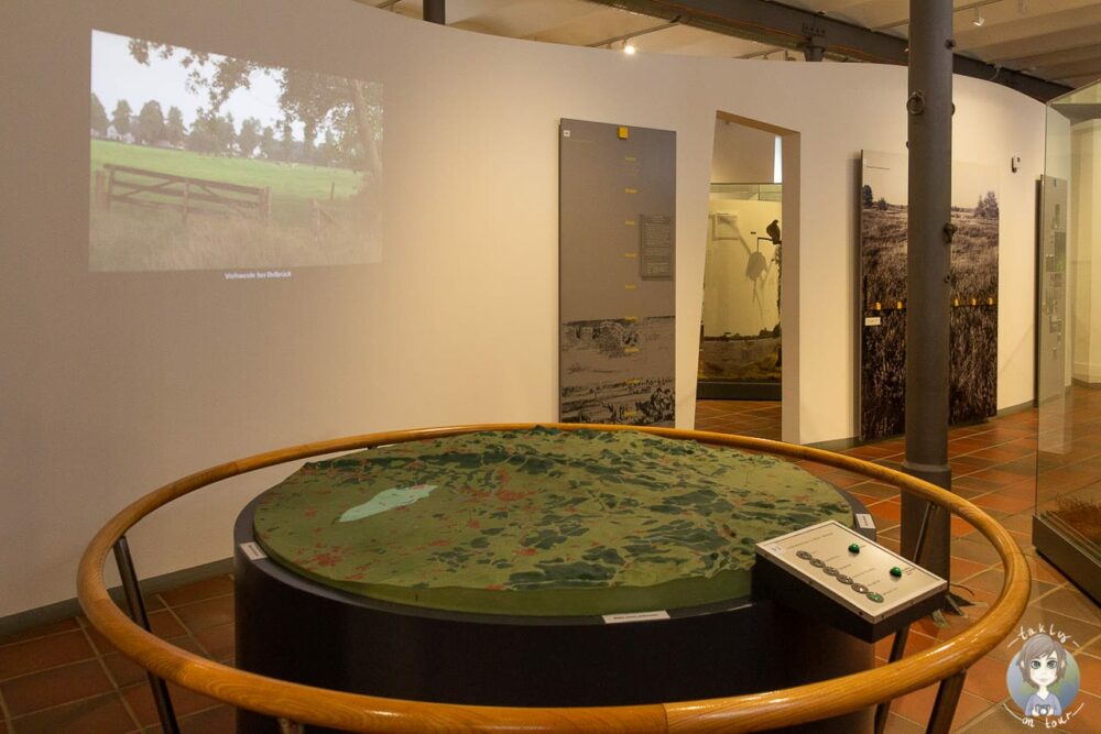 Ausstellung im Naturkundemuseum in Paderborn