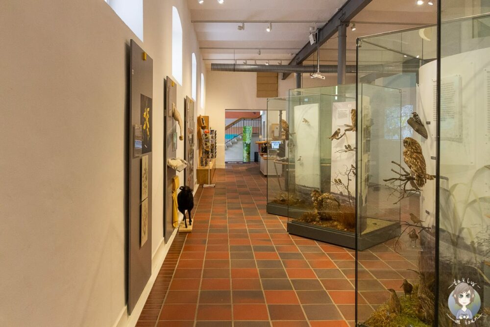 Das Naturkundemuseum in Paderborn