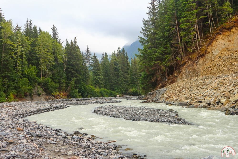 Das Bärenland in Alaska zum Bären beobachten