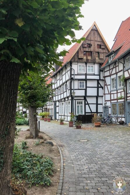 Fachwerkhäuser in Gütersloh bei einer Stadtführung