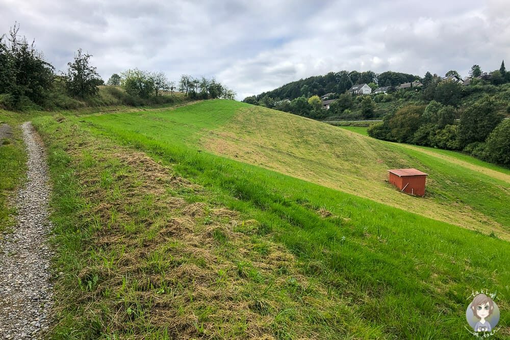 Ein Feldweg am Wichtelsteig in Kalletal