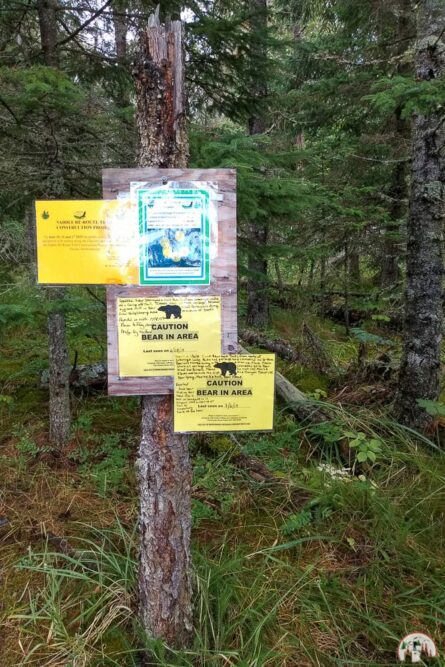 Warnung Bären in Alaska im Kachemak Bay State Park