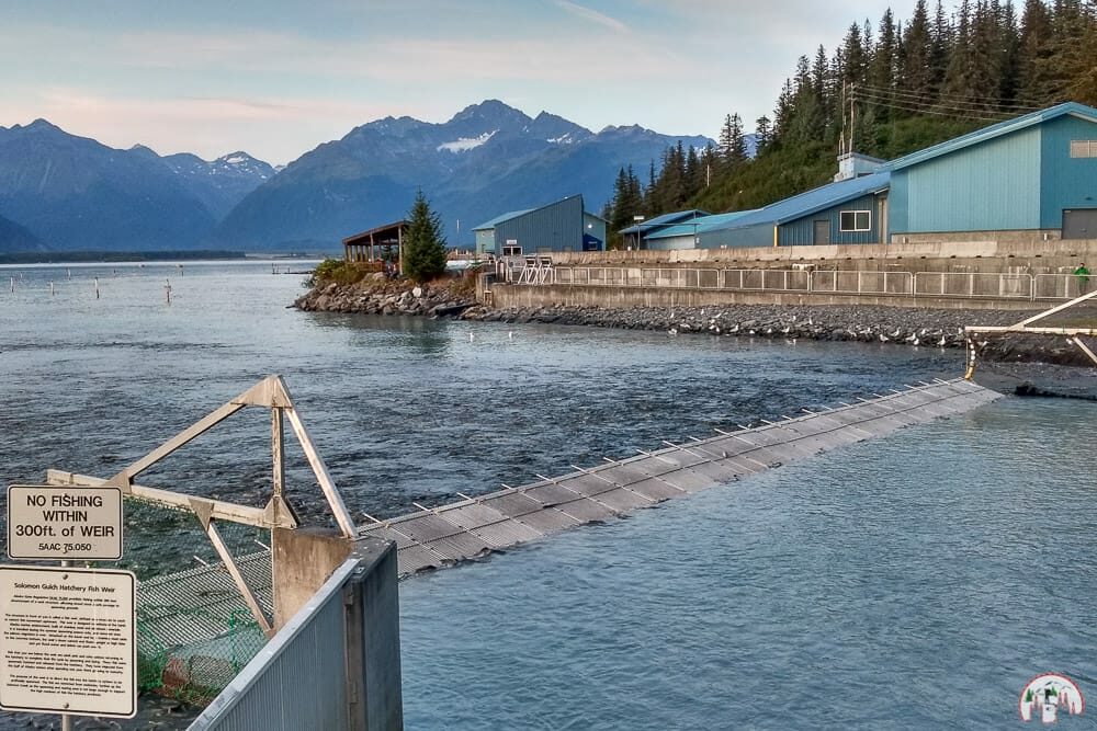 Die Salmon Hatchery in Valdez